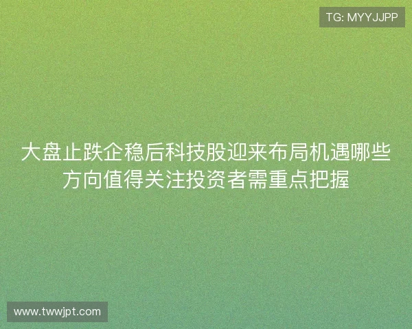 大盘止跌企稳后科技股迎来布局机遇哪些方向值得关注投资者需重点把握 大盘止跌企稳后科技股迎来布局机遇哪些方向值得关注投资者需重点把握